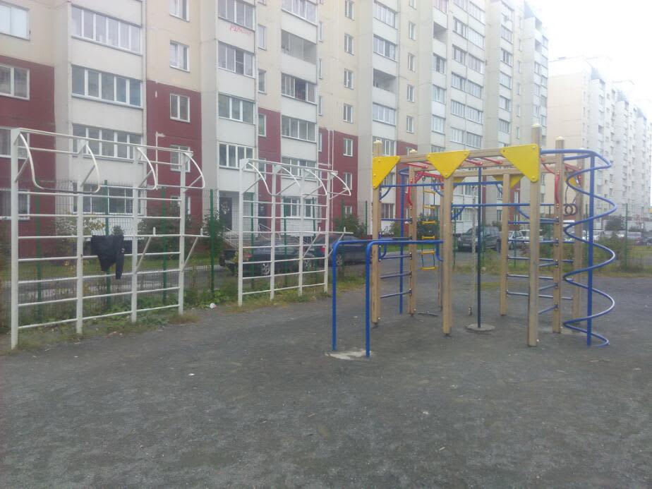 Barre de traction à Calisthenics Park at улица Высоцкого, городской округ Новосибирск – photo 1 sur 2