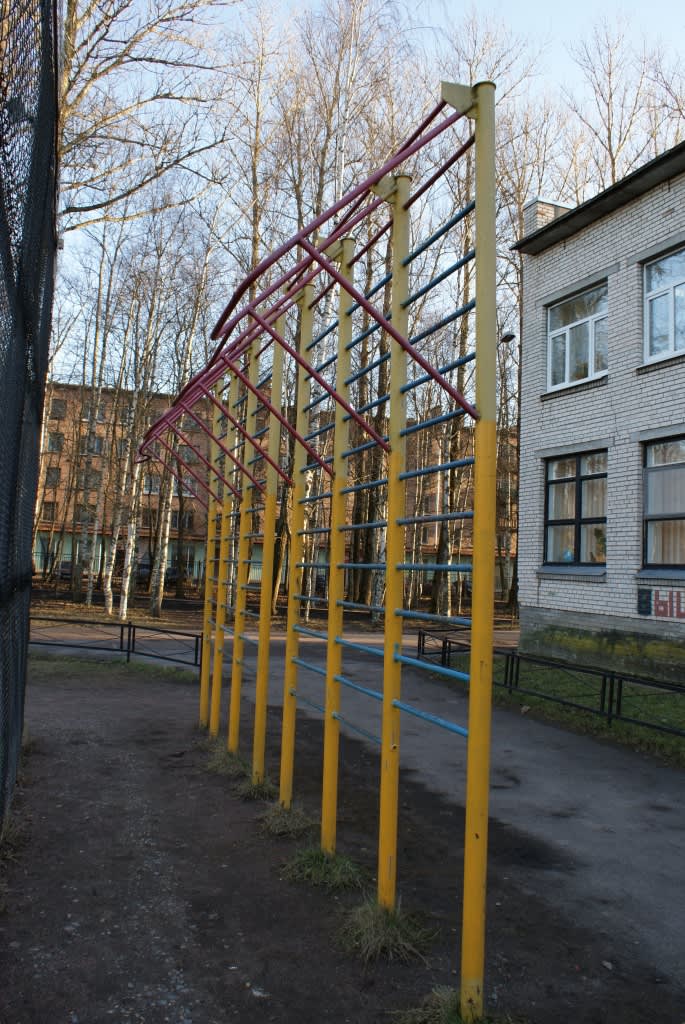 Шведська стінка на майданчику Calisthenics Park at Центральная улица, Шушары – фото 4 з 6