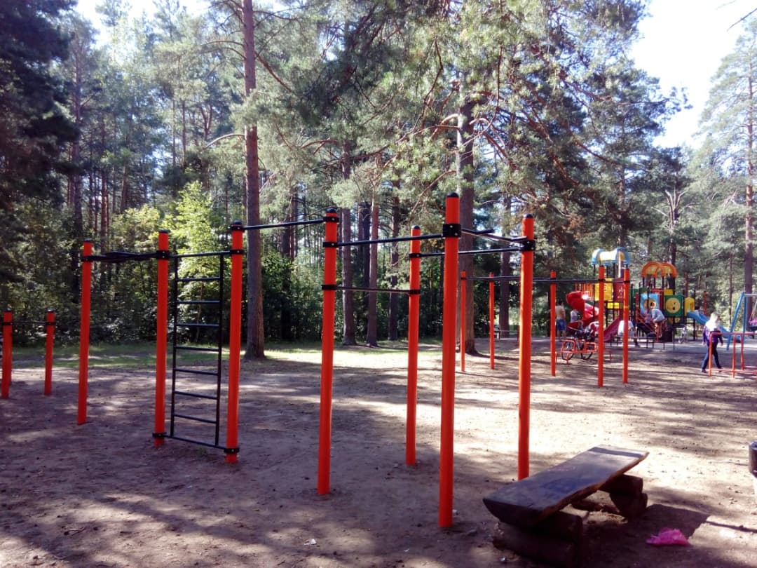 Barres parallèles à Calisthenics Park at улица Володарского, Дубна – photo 2 sur 2