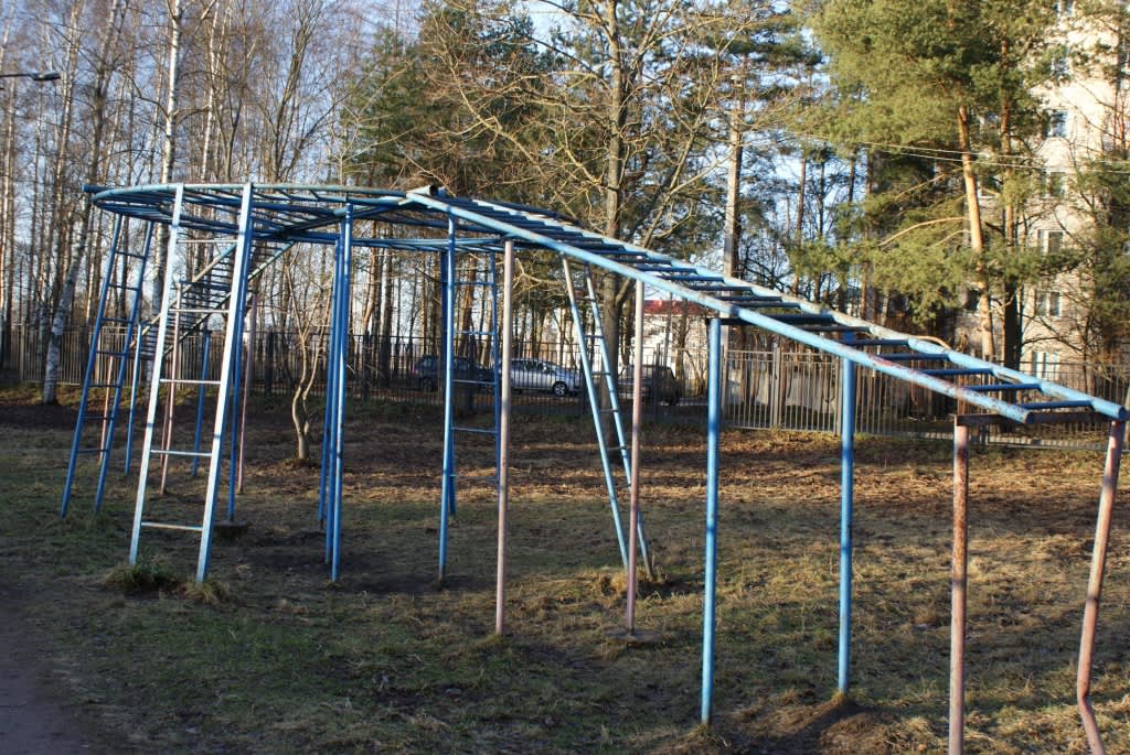 Бруси на майданчику Calisthenics Park at Центральная улица, Шушары – фото 2 з 6