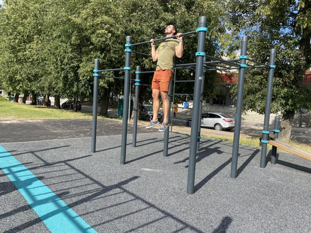 Spalier la Calisthenics Park at набережная реки Великой, Псков – fotografia 11 din 12