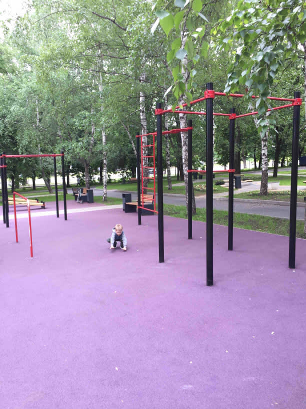 Monkey Bars at Calisthenics Park at Загородное шоссе, Москва – photo 3 of 4