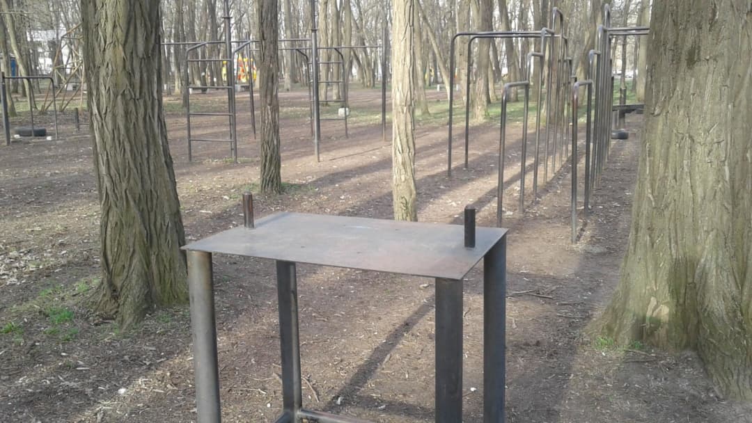 Barres de singe à Calisthenics Park at Киргизская улица, Ростов-на-Дону – photo 4 sur 6