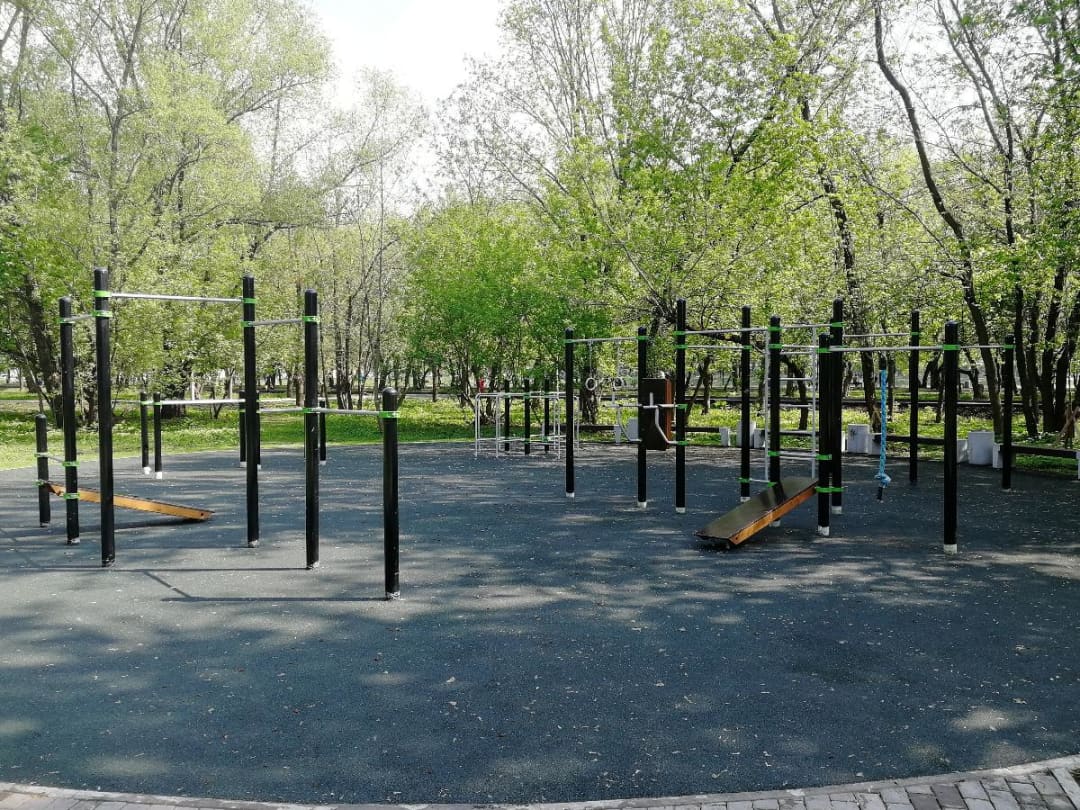 Monkey Bars at Calisthenics Park at Перовская улица, Москва – photo 3 of 3