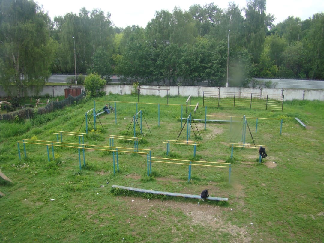 Monkey Bars at Calisthenics Park at улица Заречье, Москва #wp1987 – photo 3 of 6