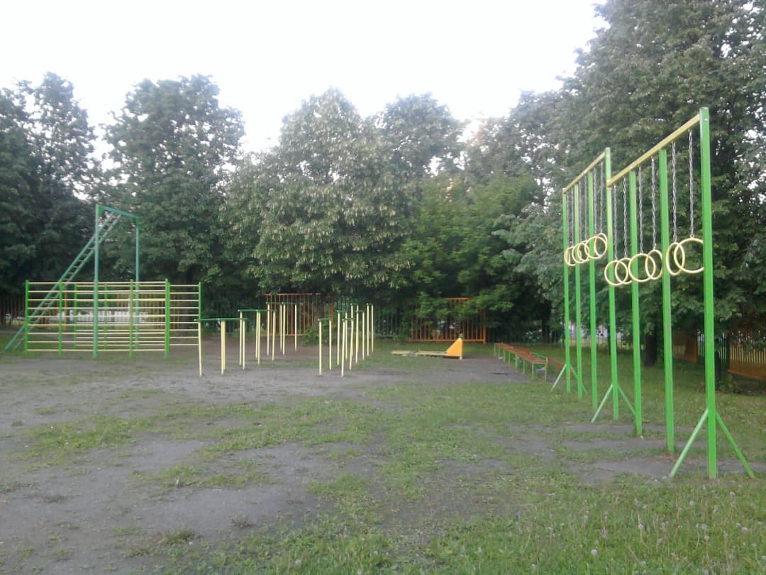 Wall Bars at Calisthenics Park at Варшавское шоссе (дублёр), Москва – photo 4 of 4