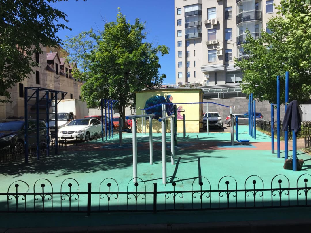 Parallel Gym Bars at Calisthenics Park at Большой проспект П.С., Санкт-Петербург – photo 2 of 2