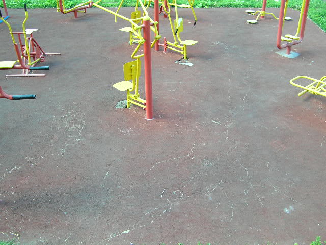 Monkey Bars at Calisthenics Park at проектируемый проезд № 6183, Москва – photo 3 of 3