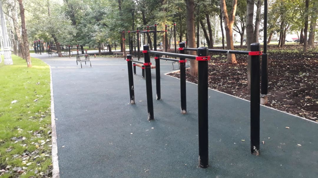 Wall Bars at Calisthenics Park at Берёзовая аллея, Москва – photo 5 of 6