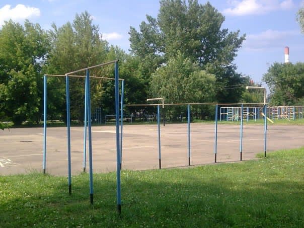 Рукоход на площадке Calisthenics Park at Амурская улица, Москва – фото 3 из 3