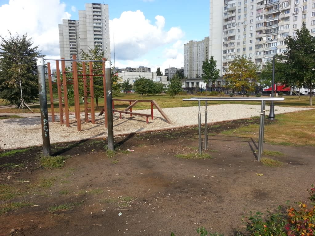 Parallel Gym Bars at Calisthenics Park at улица Гурьянова, Москва – photo 2 of 5