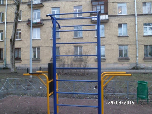 Parallel Gym Bars at Calisthenics Park at улица Ткачей, Санкт-Петербург – photo 8 of 8
