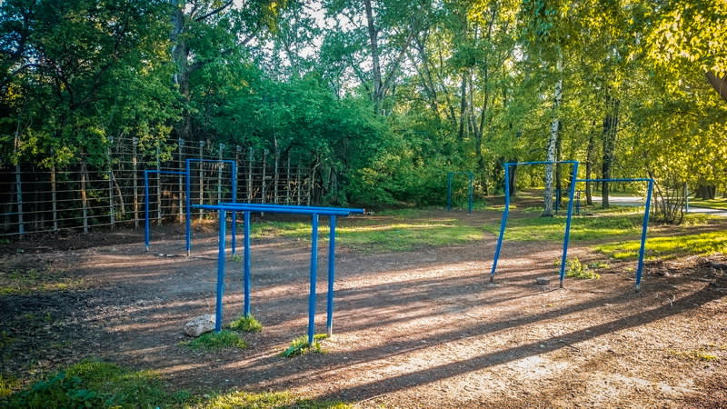 Monkey Bars at Outdoor Gym in Ленинский район, Екатеринбург – photo 3 of 3