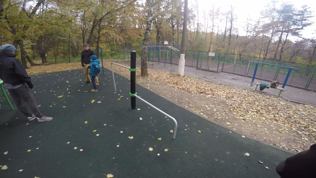 Wall Bars at Calisthenics Park at Зелёная улица, Химки – photo 4 of 4