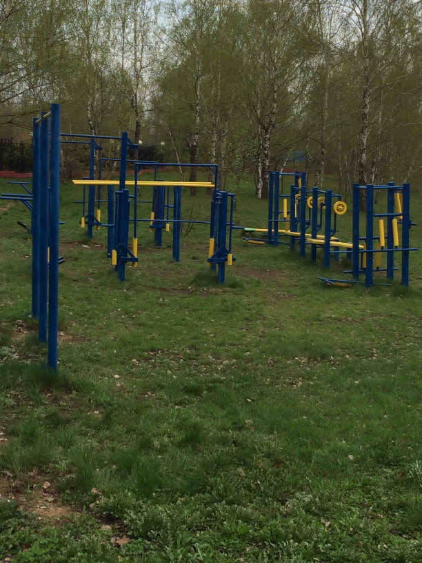 Parallel Gym Bars at Calisthenics Park at Янтарь, Москва – photo 2 of 4