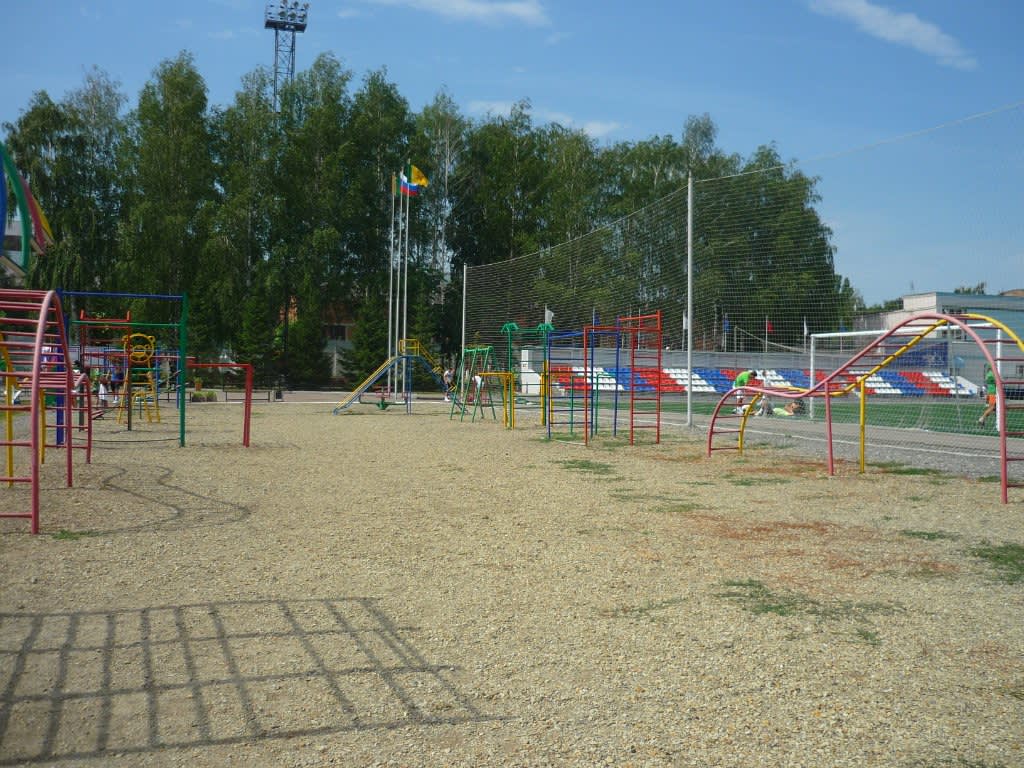 Bare paralele la Calisthenics Park at Зенит, городской округ Пенза – fotografia 2 din 6