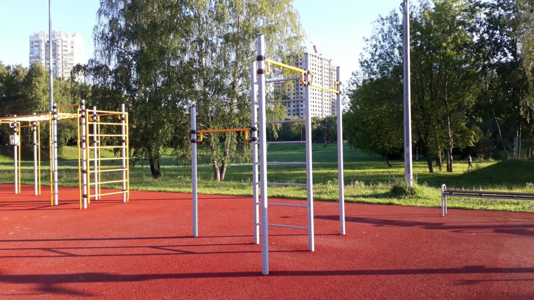 Monkey Bars at Calisthenics Park at аллея Ветеранов, Москва – photo 10 of 11