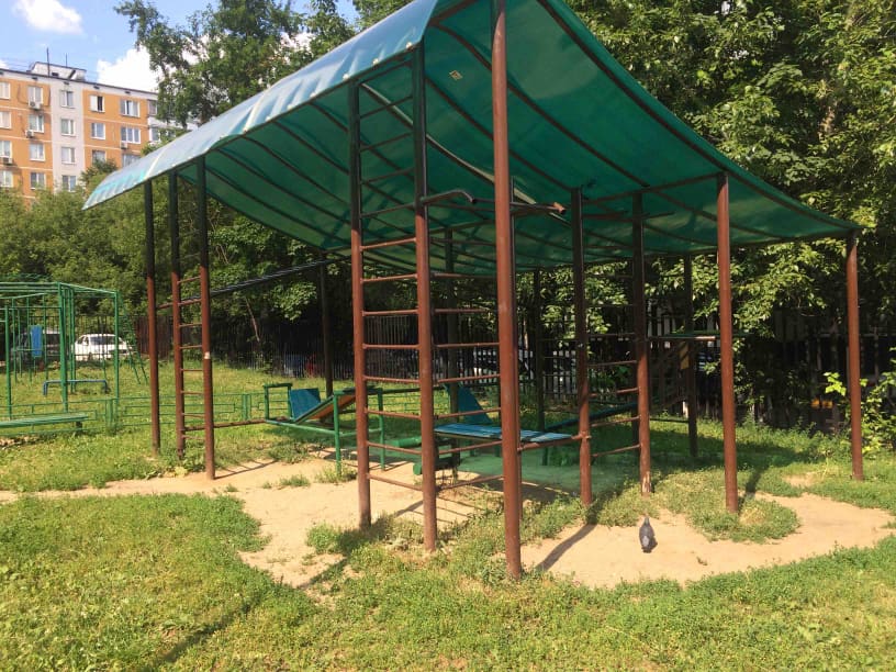 Monkey Bars at Calisthenics Park at Ореховый бульвар, Москва – photo 3 of 4
