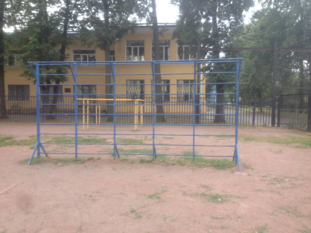 Monkey Bars at Calisthenics Park at проспект Стачек, Санкт-Петербург #wp2205 – photo 3 of 6
