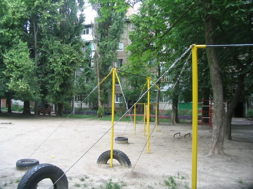 Monkey Bars at Calisthenics Park at проспект Перемоги, Чернігів – photo 7 of 8