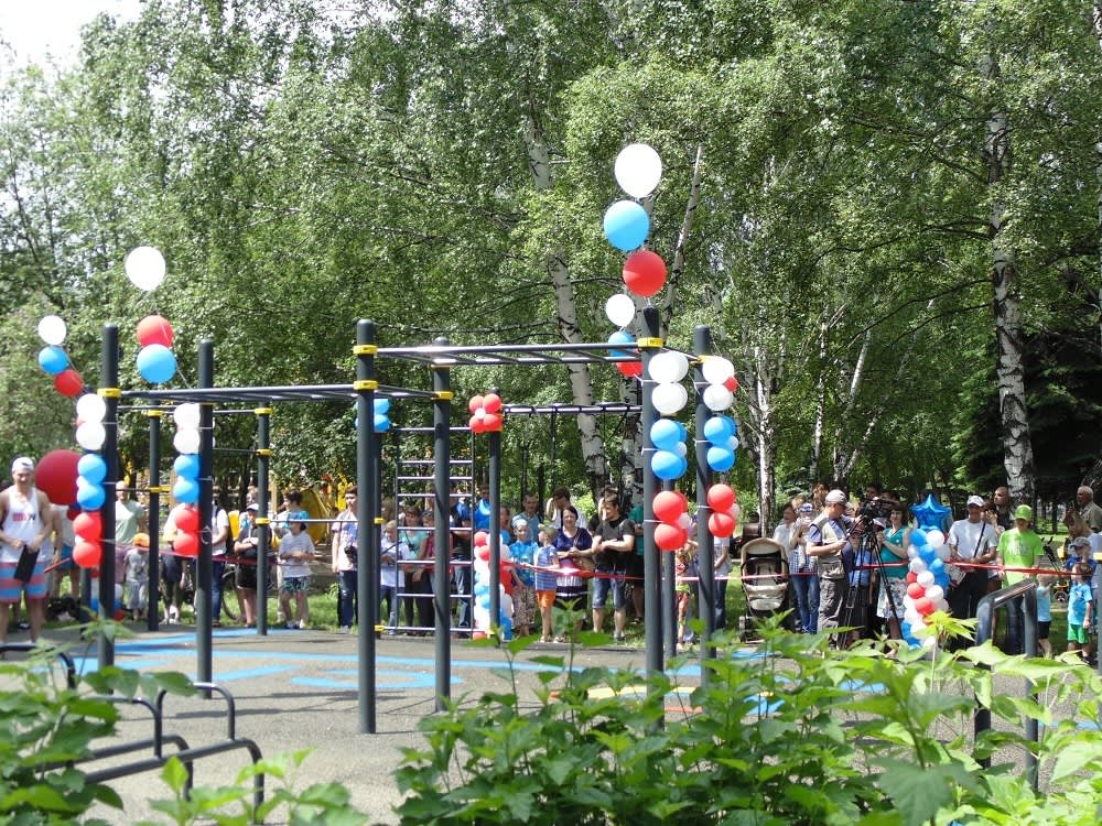 Barre de traction à Calisthenics Park at улица Тольятти, Новокузнецк – photo 1 sur 1