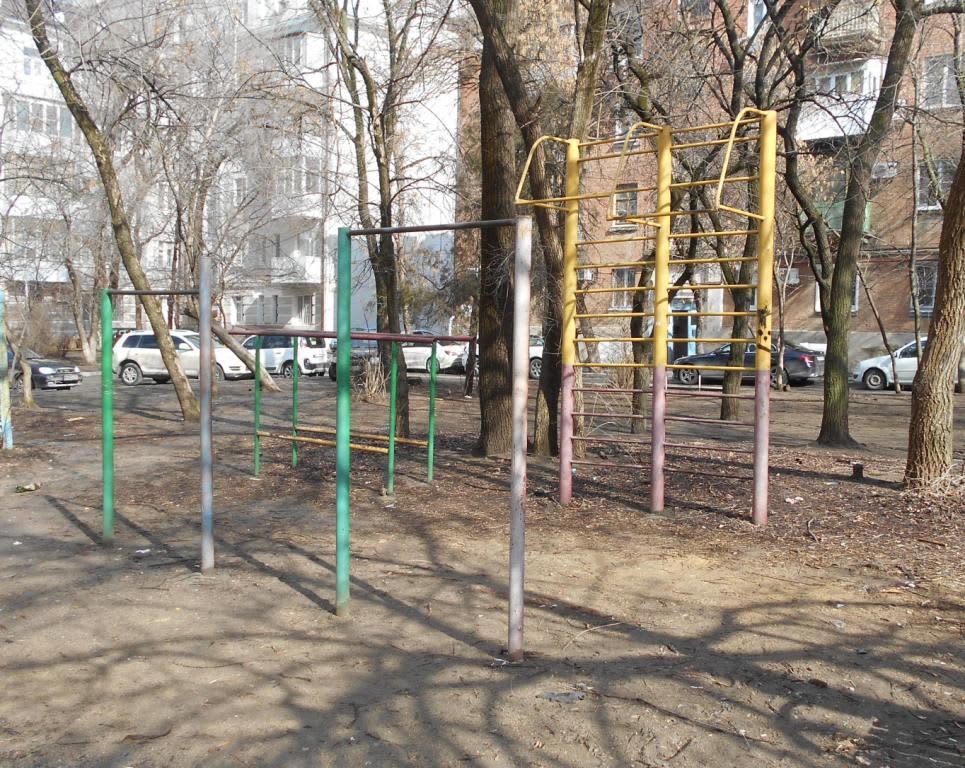 Barra de Dominadas en Calisthenics Park at Будённовский проспект, Ростов-на-Дону – foto 1 de 2
