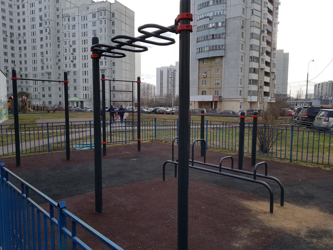 Monkey Bars at Calisthenics Park at Скобелевская улица, Москва – photo 4 of 4