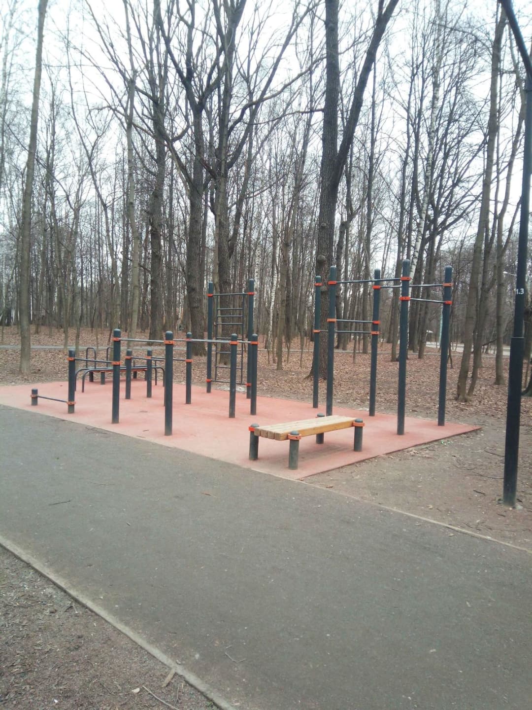 Pull Up Bar at Calisthenics Park at Тропа здоровья, Москва – photo 1 of 3