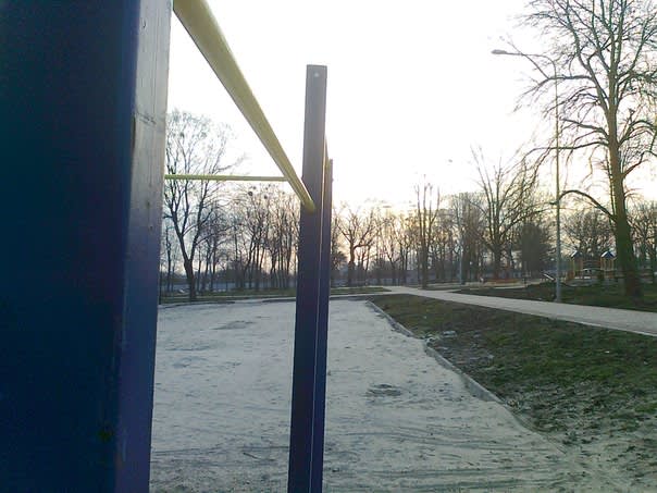 Monkey Bars at Calisthenics Park at Ново-Баварський проспект, Харків – photo 3 of 7