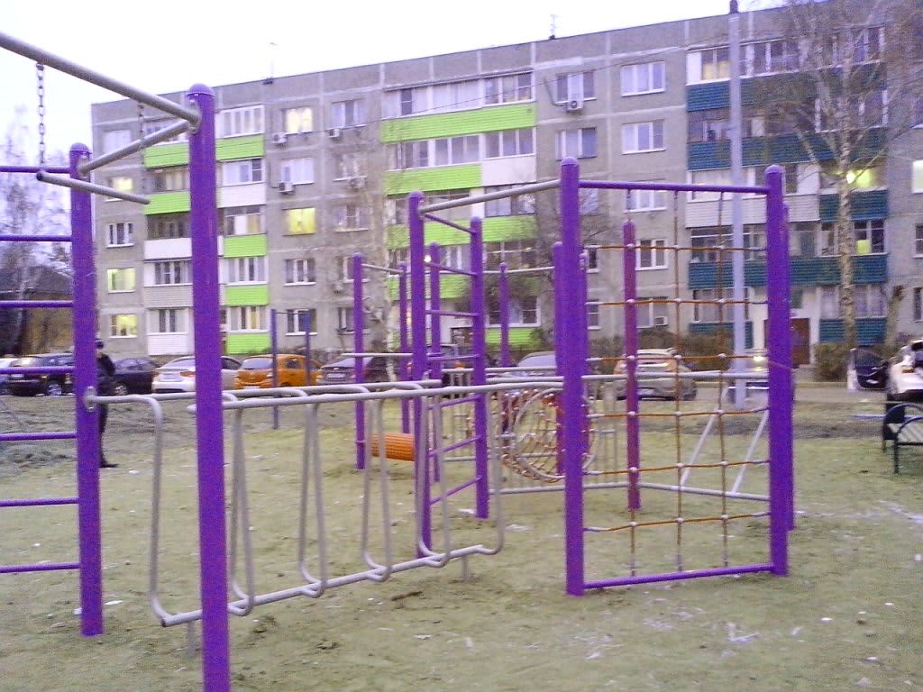 Parallel Gym Bars at Calisthenics Park at Советская улица, Домодедово – photo 2 of 2