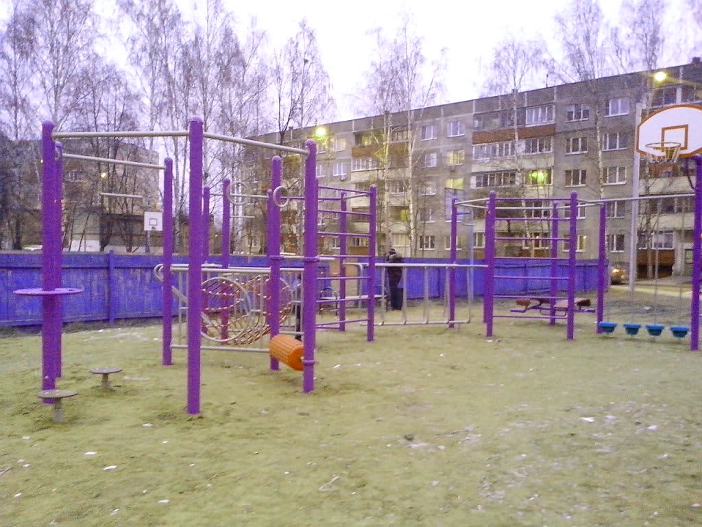Pull Up Bar at Calisthenics Park at Советская улица, Домодедово – photo 1 of 2