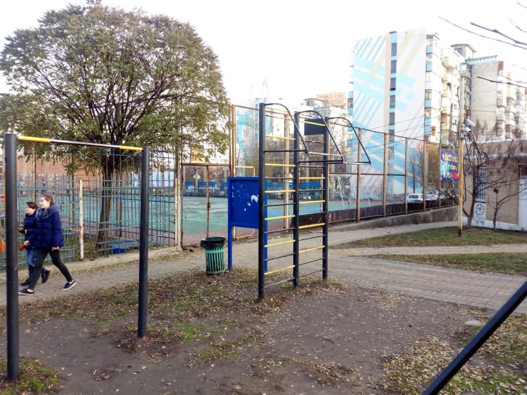 Barras Paralelas Bajas en Calisthenics Park at 2-я Опрятная улица, Ростов-на-Дону – foto 5 de 5