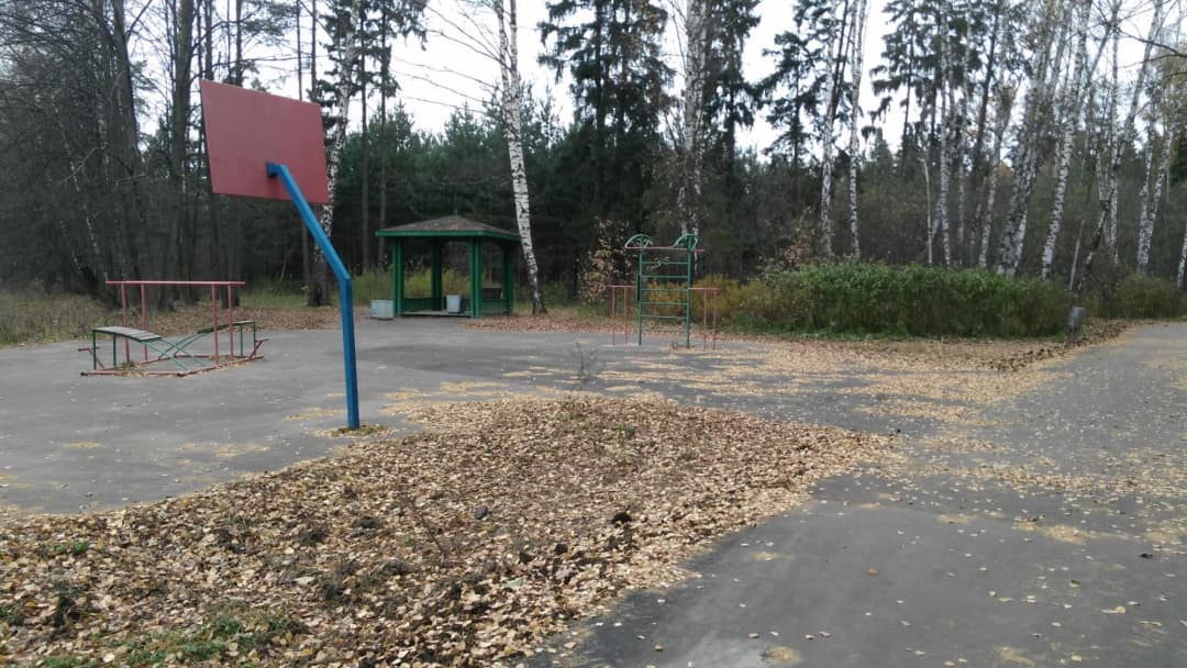 Parallel Gym Bars at Calisthenics Park at улица Поляны, Москва – photo 2 of 4