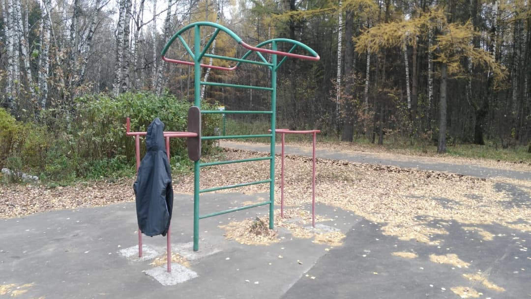 Wall Bars at Calisthenics Park at улица Поляны, Москва – photo 4 of 4