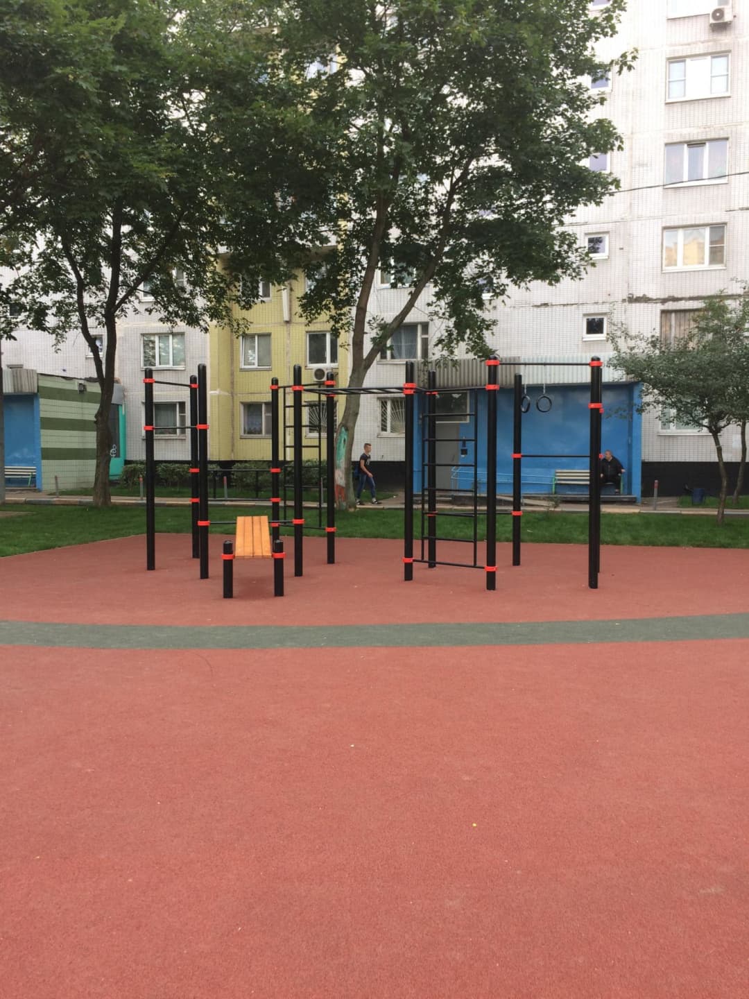 Monkey Bars at Calisthenics Park at Лебедянская улица, Москва – photo 3 of 5