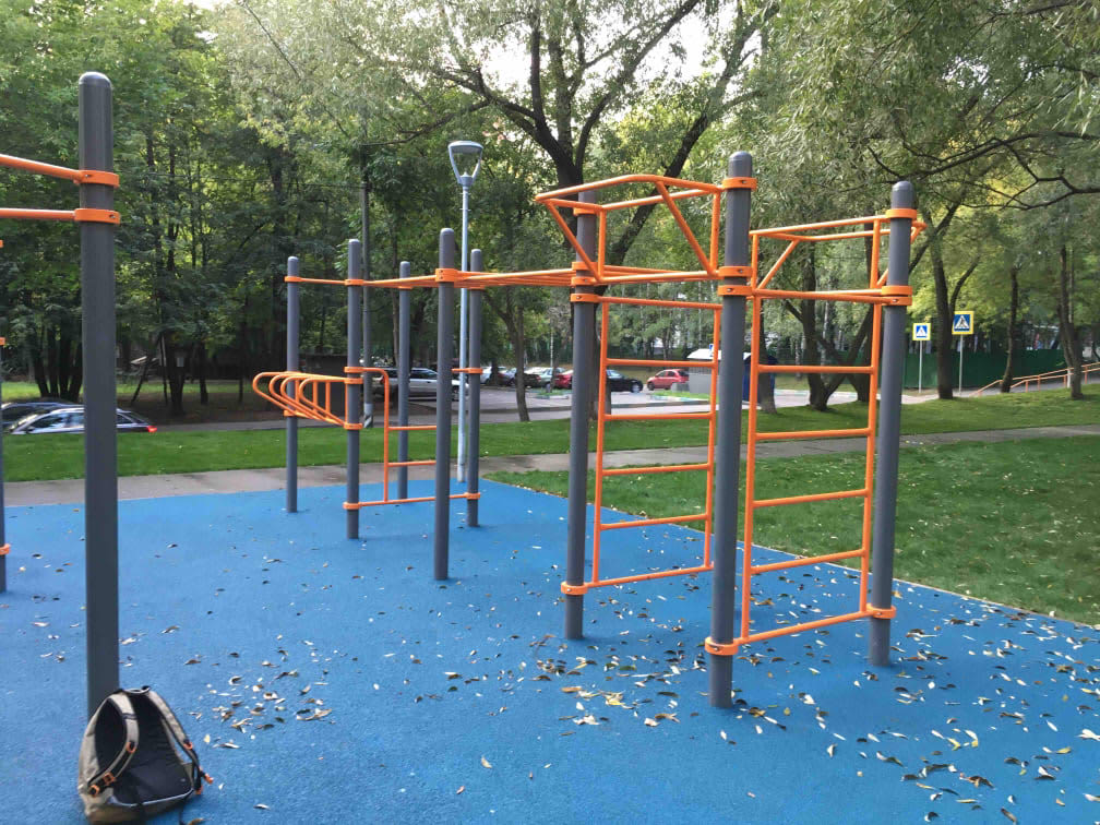 Monkey Bars at Calisthenics Park at Профсоюзная улица (дублёр), Москва #wp2566 – photo 3 of 5