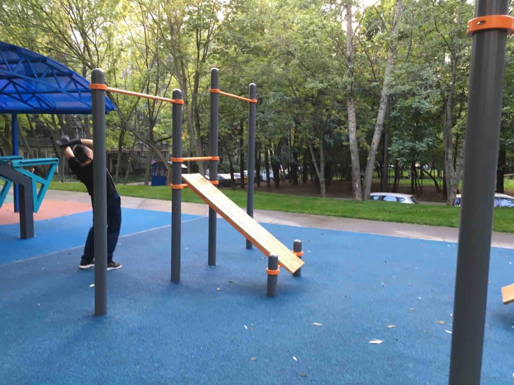 Wall Bars at Calisthenics Park at Профсоюзная улица (дублёр), Москва #wp2566 – photo 4 of 5