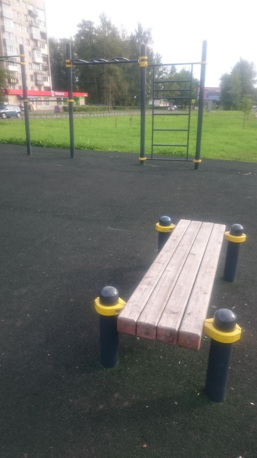Шведська стінка на майданчику Calisthenics Park at проезд имени Бойцов 4-й Армии, Тихвин – фото 4 з 7