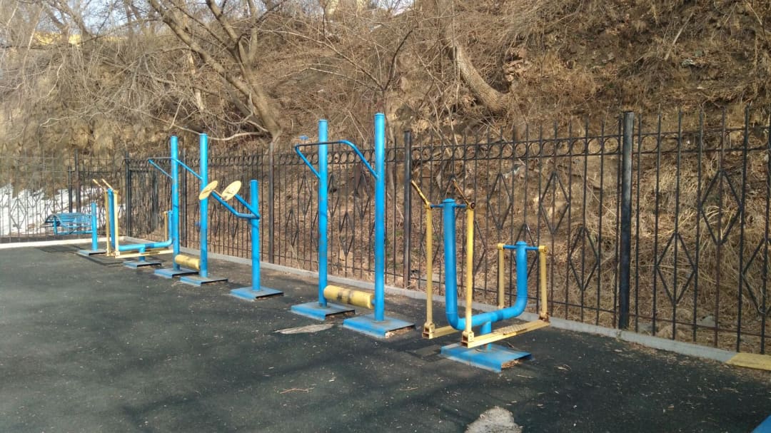 Monkey bar presso Calisthenics Park at проспект 100-летия Владивостока, Владивосток #wp2617 – foto 3 di 3