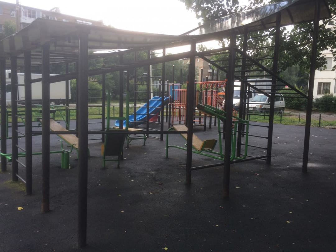 Barras de Mono en Calisthenics Park at 1-я Заводская улица, Апрелевка – foto 2 de 4