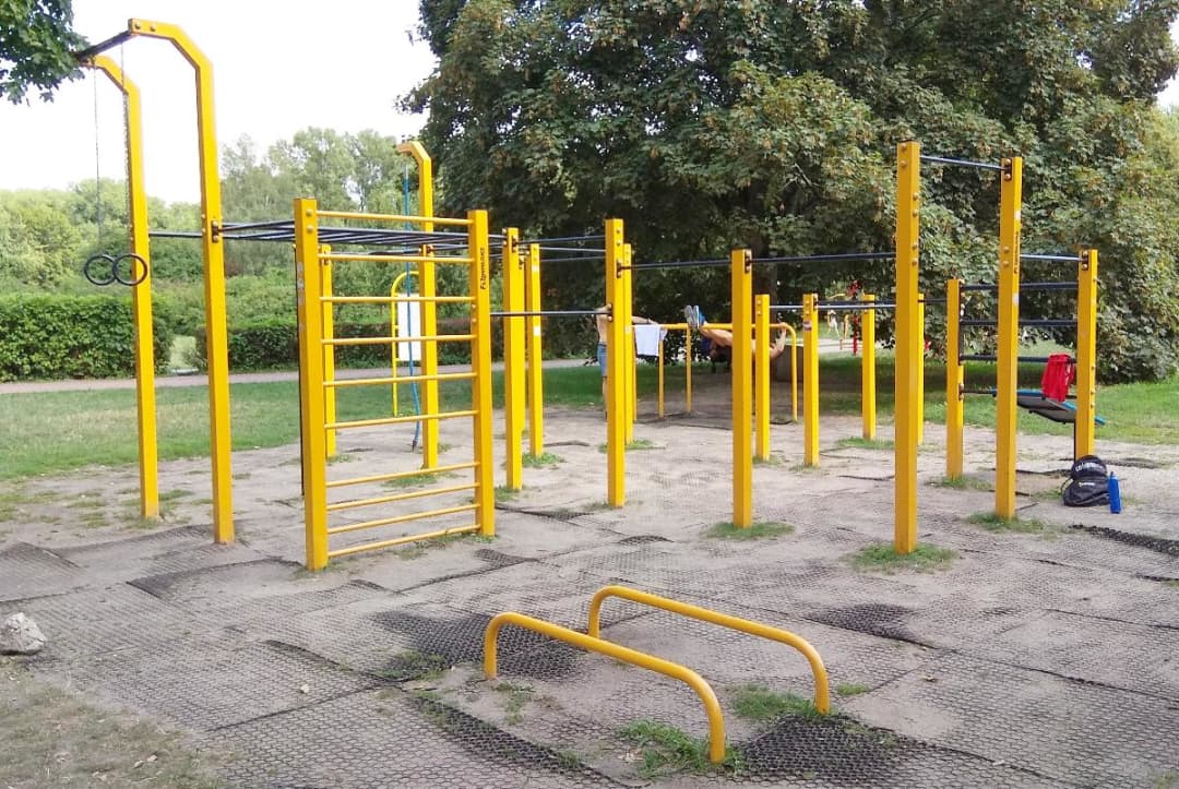 Barres de singe à Calisthenics Park at Deotymy, Warszawa – photo 3 sur 4