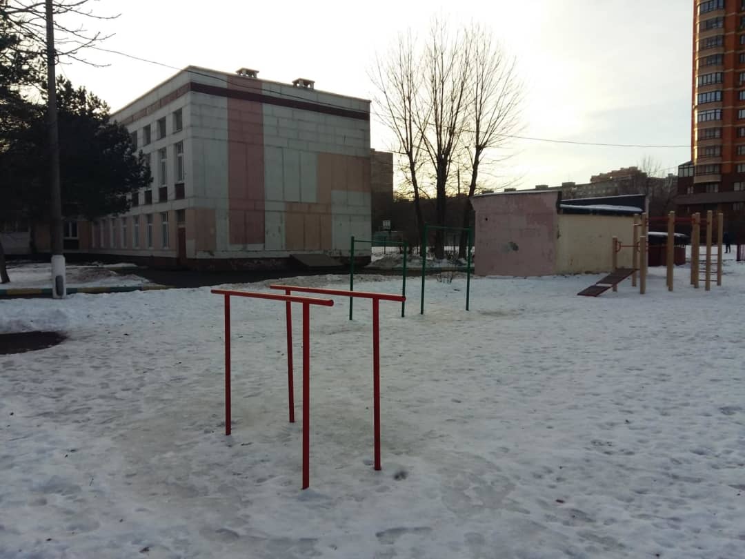 Monkey Bars at Calisthenics Park at Кировоградская улица, Москва #wp2704 – photo 3 of 5
