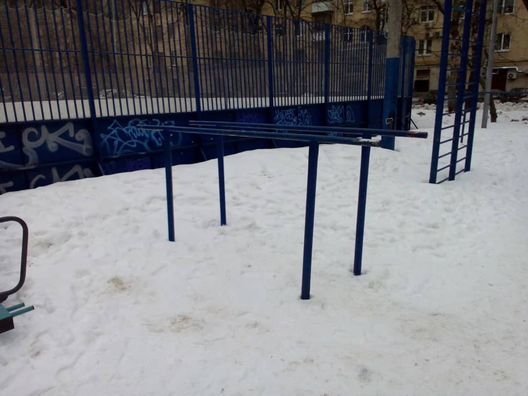 Wall Bars at Calisthenics Park at Большая Дорогомиловская улица, Москва – photo 4 of 6