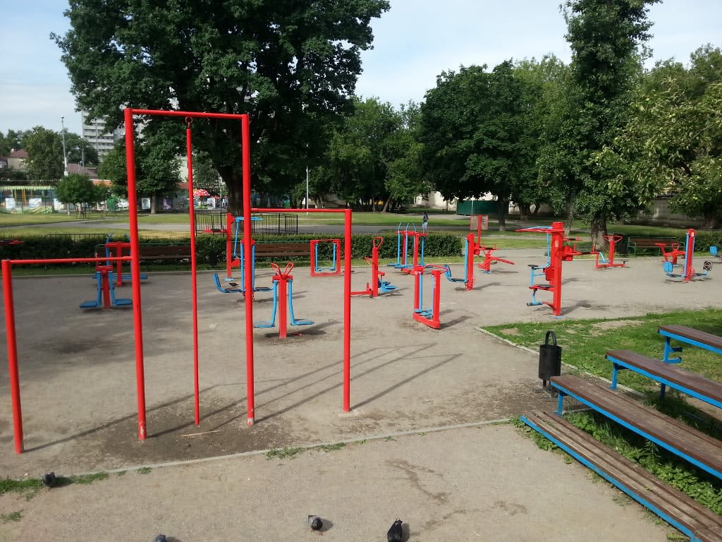 Air Skier at Calisthenics Park at Большой Факельный переулок, Москва – photo 4 of 4