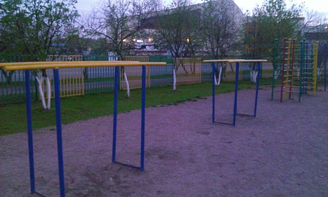 Брусья на площадке Calisthenics Park at Заповедная улица, Москва – фото 2 из 2