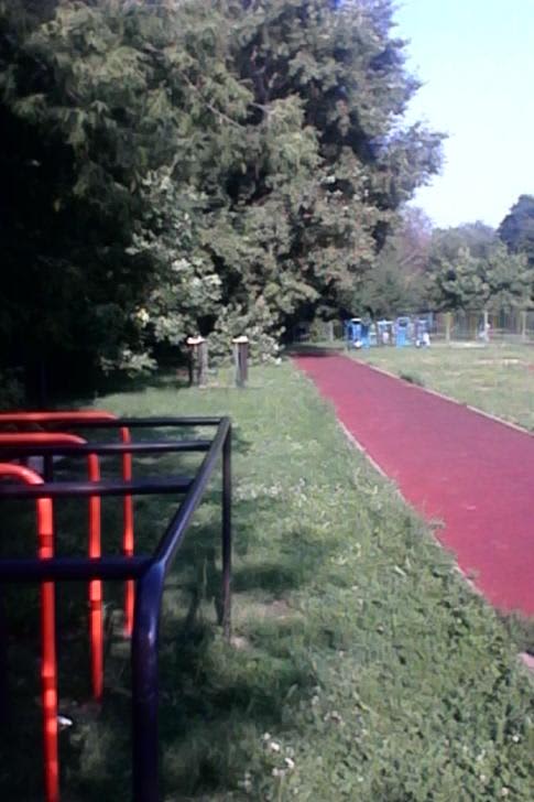 Monkey Bars at Calisthenics Park at Азовская улица, Москва – photo 3 of 4