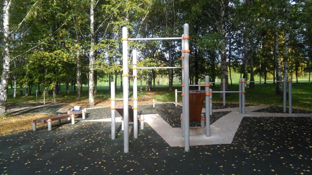 Monkey Bars at Calisthenics Park at проезд Шокальского, Москва #wp2755 – photo 3 of 3