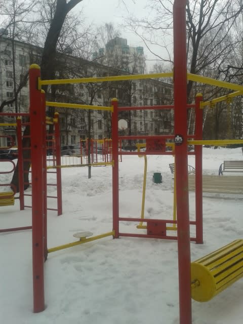 Bară de tracțiuni la Calisthenics Park at Ангарская улица, Москва – fotografia 7 din 7