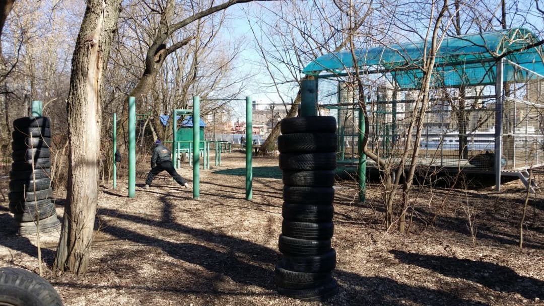 Parallel Gym Bars at Calisthenics Park at улица Свободы, Москва #wp2817 – photo 2 of 8