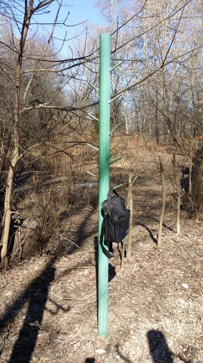 Pull Up Bar at Calisthenics Park at улица Свободы, Москва #wp2817 – photo 4 of 8